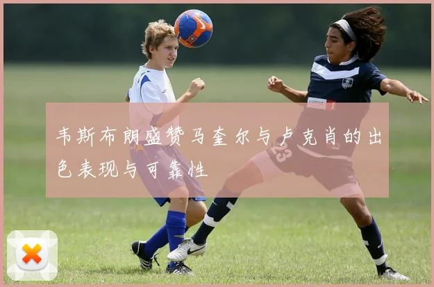韦斯布朗盛赞马奎尔与卢克肖的出色表现与可靠性